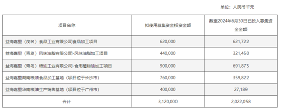 延期项目截至2024年6月30日的资金投入情况，截取自企业公告。