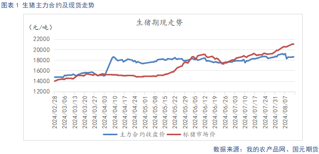 生猪供给阶段性偏紧主导看涨情绪 后续关注需求恢复情况