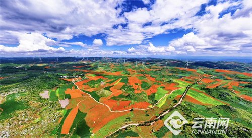 自治州丘北县腻脚乡万亩万寿菊竞相绽放作者:郑林2023年,云南省完成