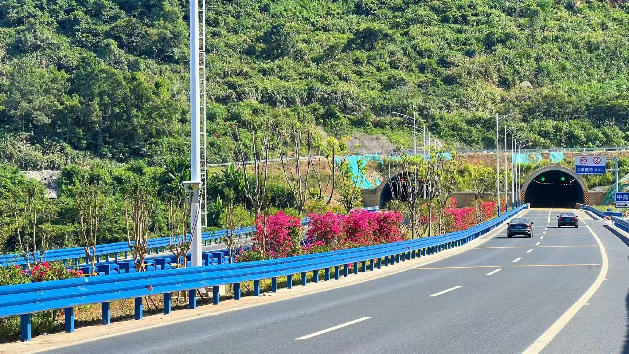 浙江省228国道苍南龙沙至岱岭段项目通过交工验收