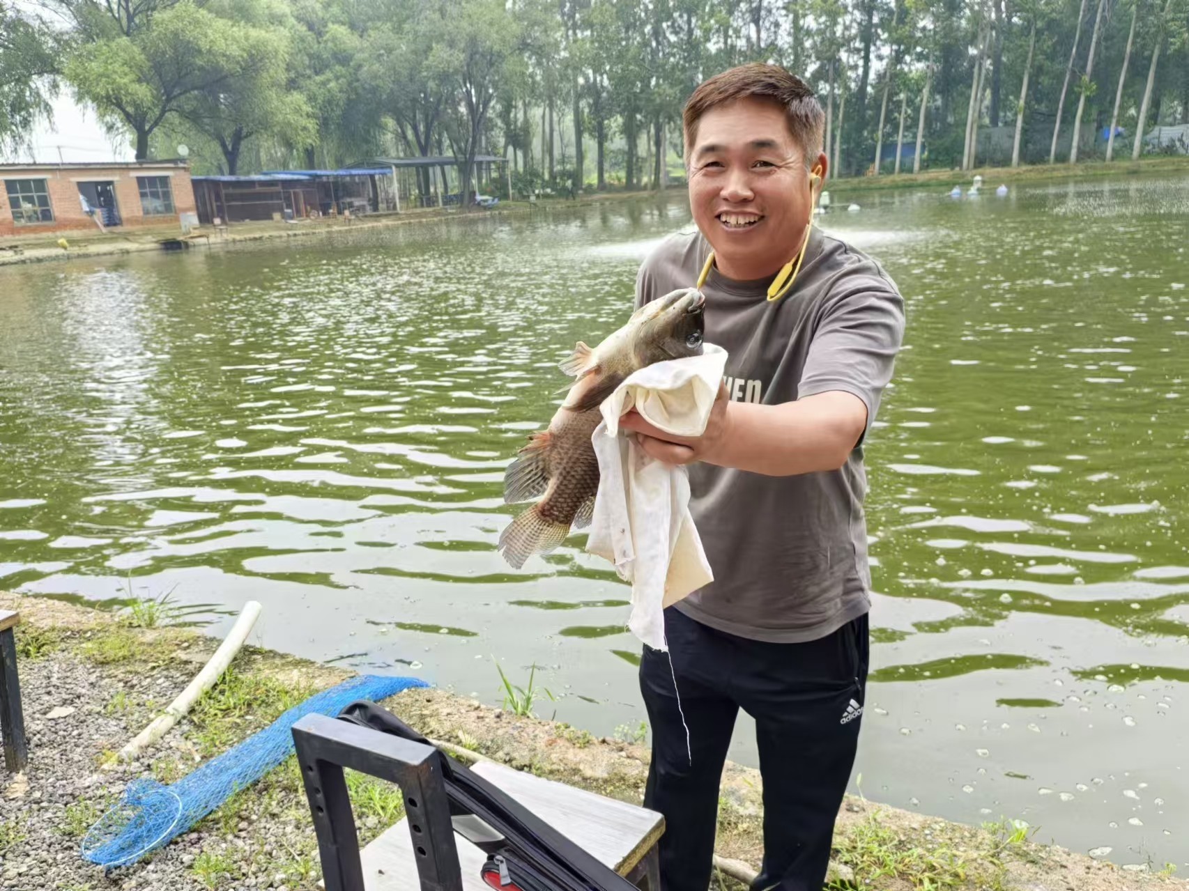年产量达8万斤!昌平区崔村镇本地罗非鱼迎来丰收季