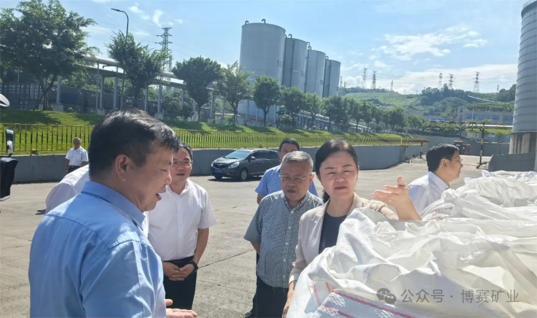重庆市委常委,万州区委书记卢红到博赛集团万博新材料视察指导