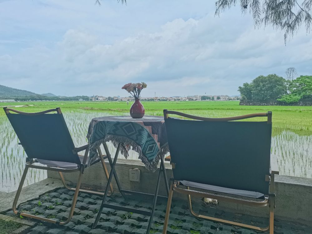 中山崖口村走红与嬗变：年轻人“打卡”是一种流量振兴丨文明乡村新粤章