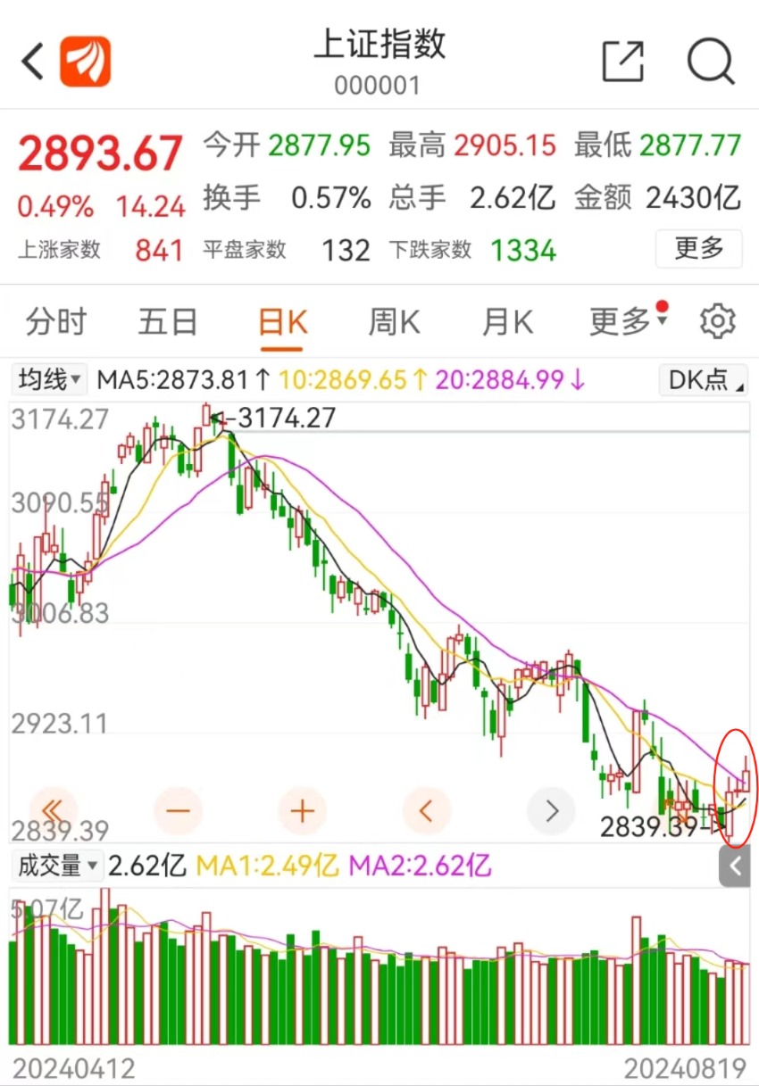 　　（图片来源：东方财富APP，统计截至2024/8/19，不作投资推荐）