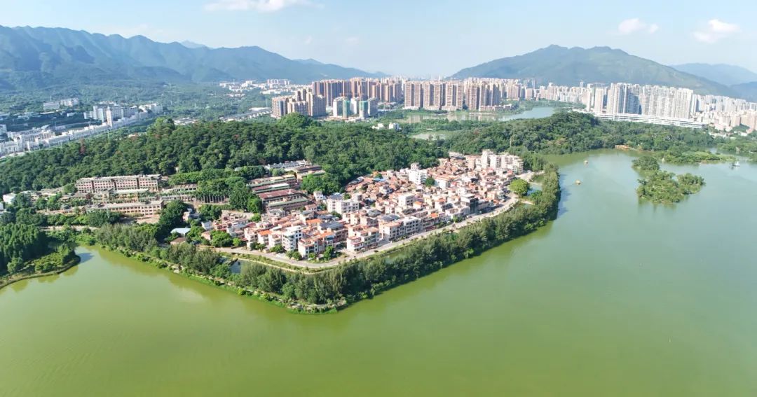 无敌出片!肇庆这个地方,藏着超多打卡点!|肇庆市_新浪财经_新浪网