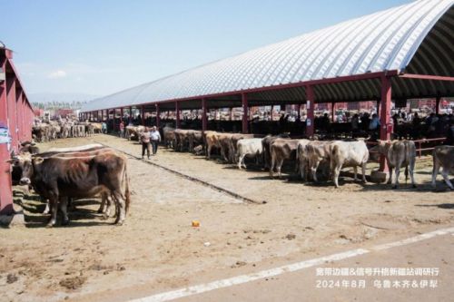 图、伊犁黄公活畜交易市场