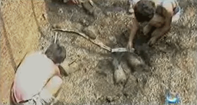 △总台节目《国宝档案》历史资料画面