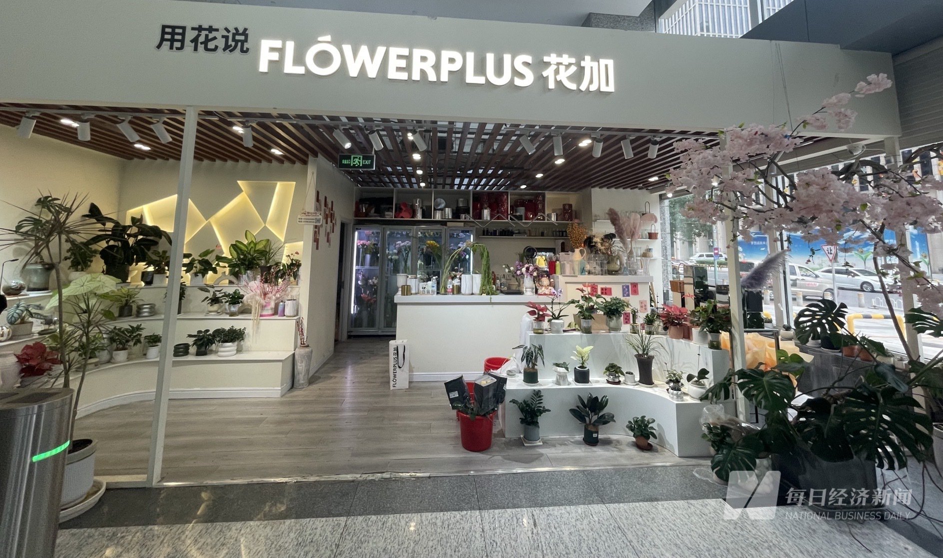 "花加"破产清算但仍在运营?