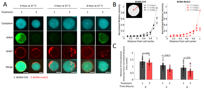 图片来自Nature Biotechnology, 2024, doi:10.1038/s41587-024-02339-4