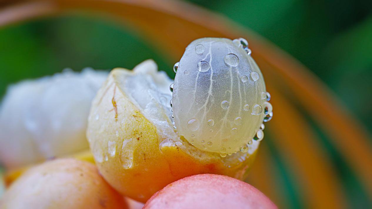 开挂的木奶果不止有甜蜜——有一种叫云南的生活之365天