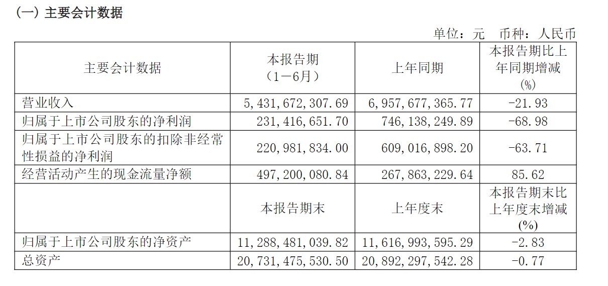 步长制药2024年半年报截图