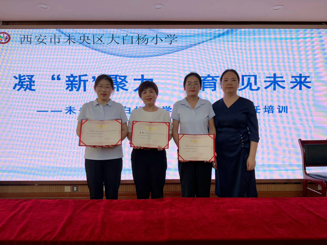 未央区大白杨小学开展班主任培训