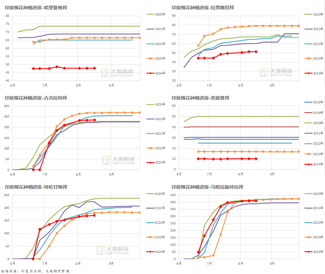 数据来源：印度农业部门，大地期货研究院