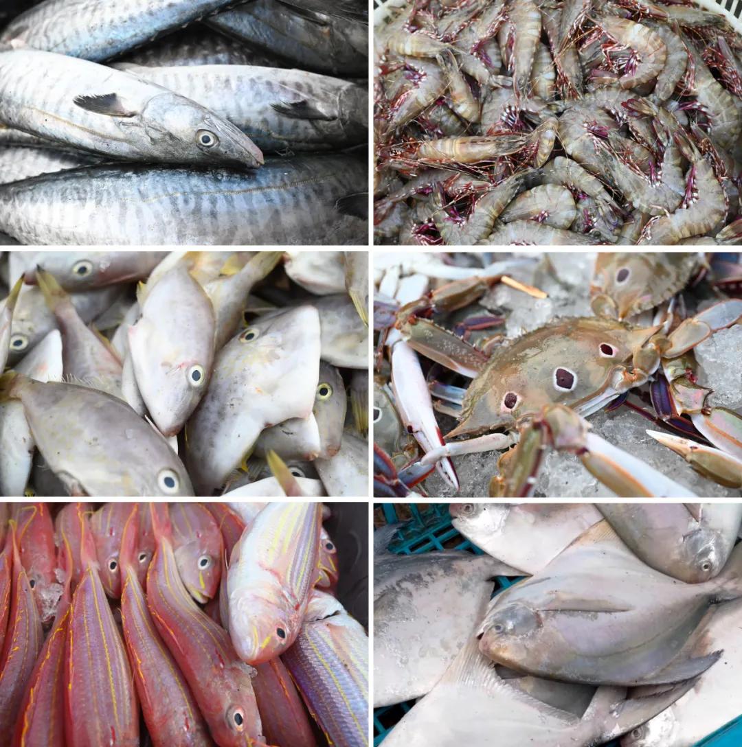 逛阳江菜市场,买水灵灵的海鲜!