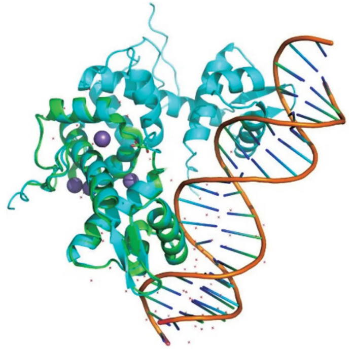 蛋白结构预测，蛋白结构预测评价指标