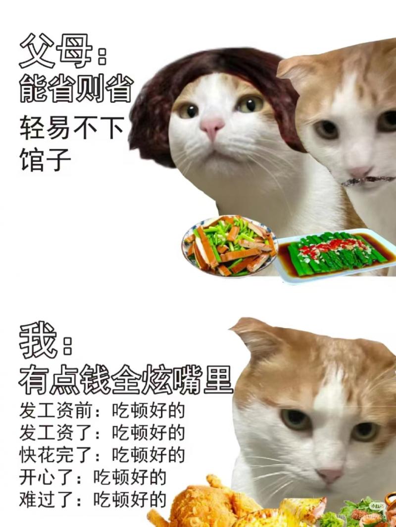 很难解: "没福硬享" 的年轻人vs"没苦硬吃"的老一辈
