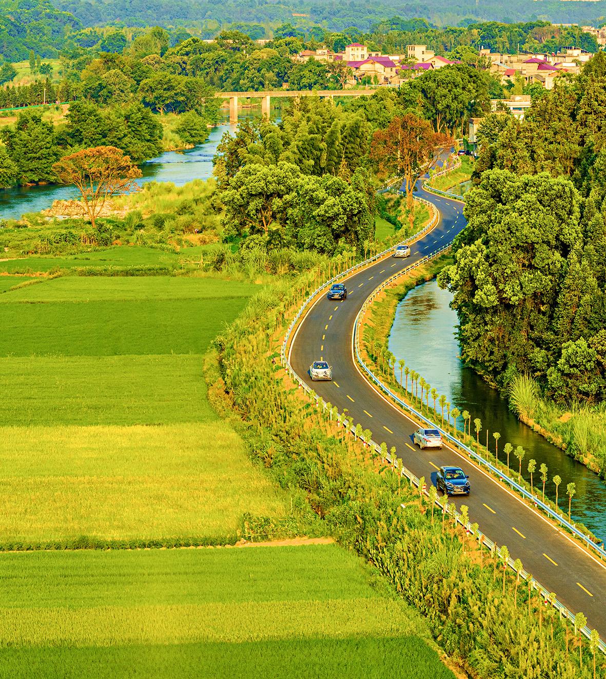 真美!通往秋天的农村公路