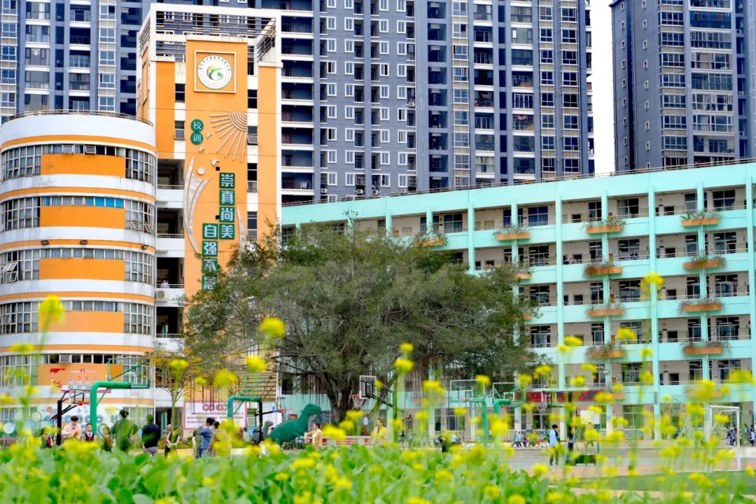 校长寄语——南宁市江南区翠湖路小学主持全面工作副校长  梁桦