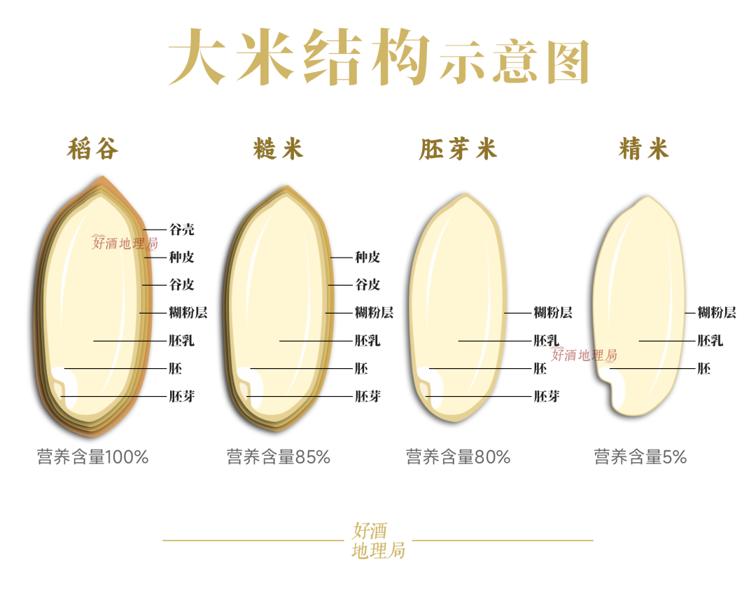 地道好酒 | "好酒中国行科学考察"为何再次走进皇沟?