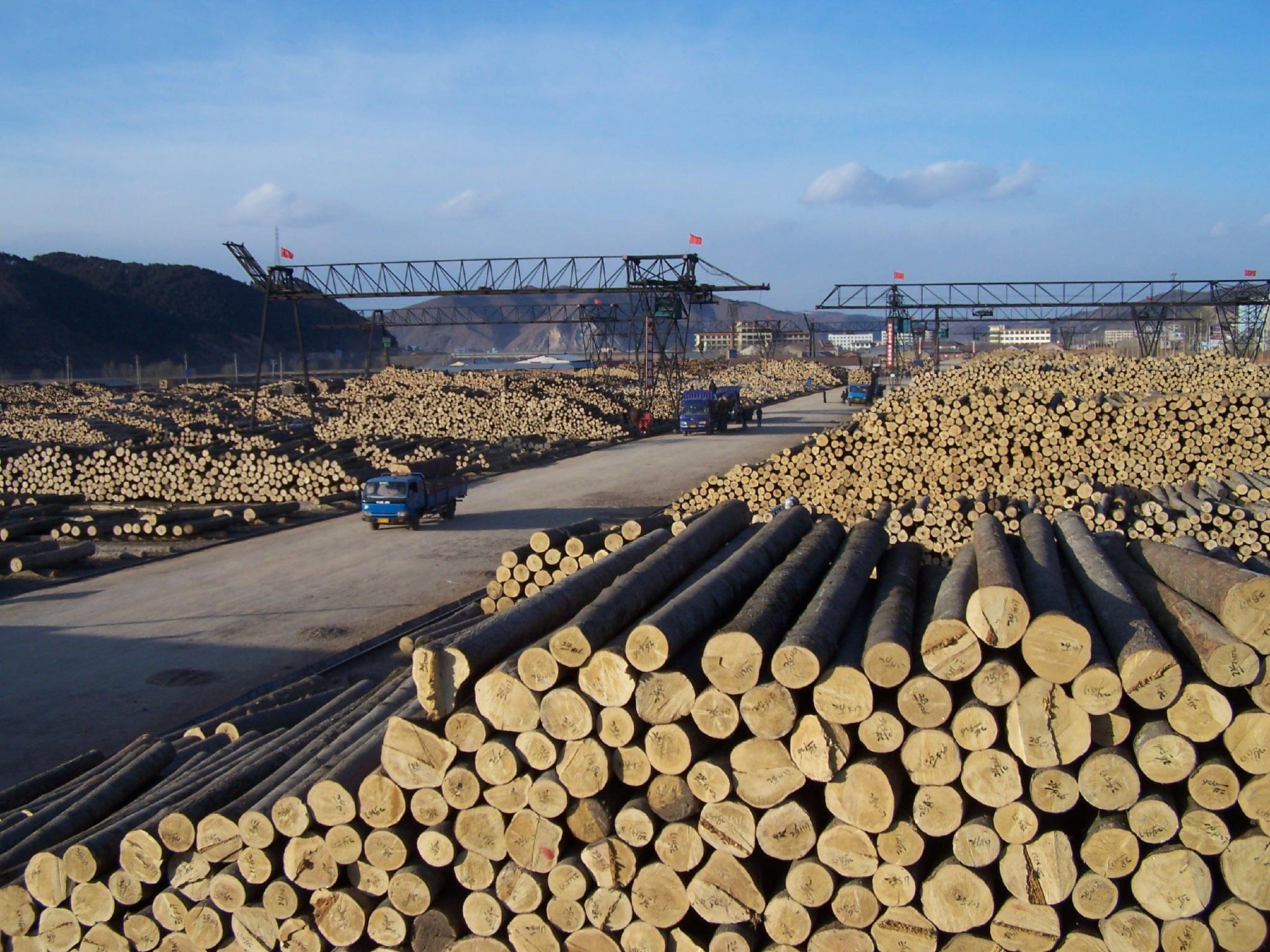 当年的贮木场最高年产木材102万立方米