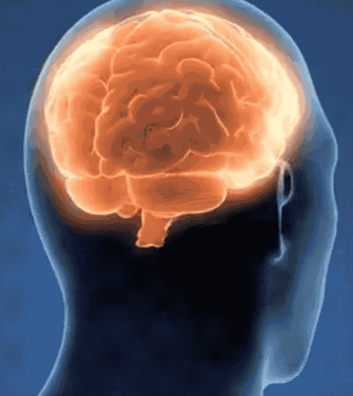 △图源：央视三农