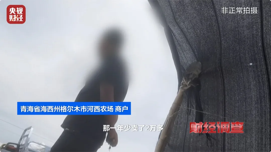 图片开首:央视财经视频截图