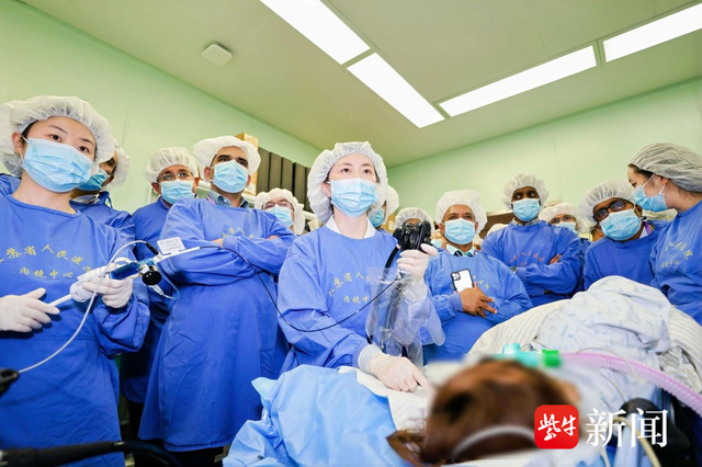 内窥镜为什么送水送气15个国家45名医生齐聚江苏省人民医院！“一带一路”卓越医学人才国际研修班共建“健康丝绸之路”_https://www.jmylbn.com_新闻资讯_第5张