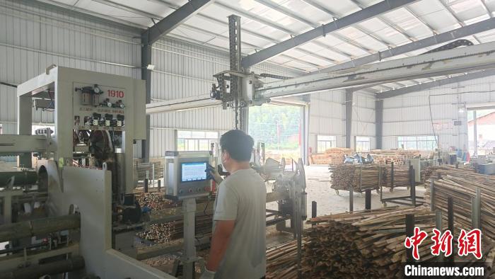 江西南城:小竹签大产业 拓宽百姓"致富路"