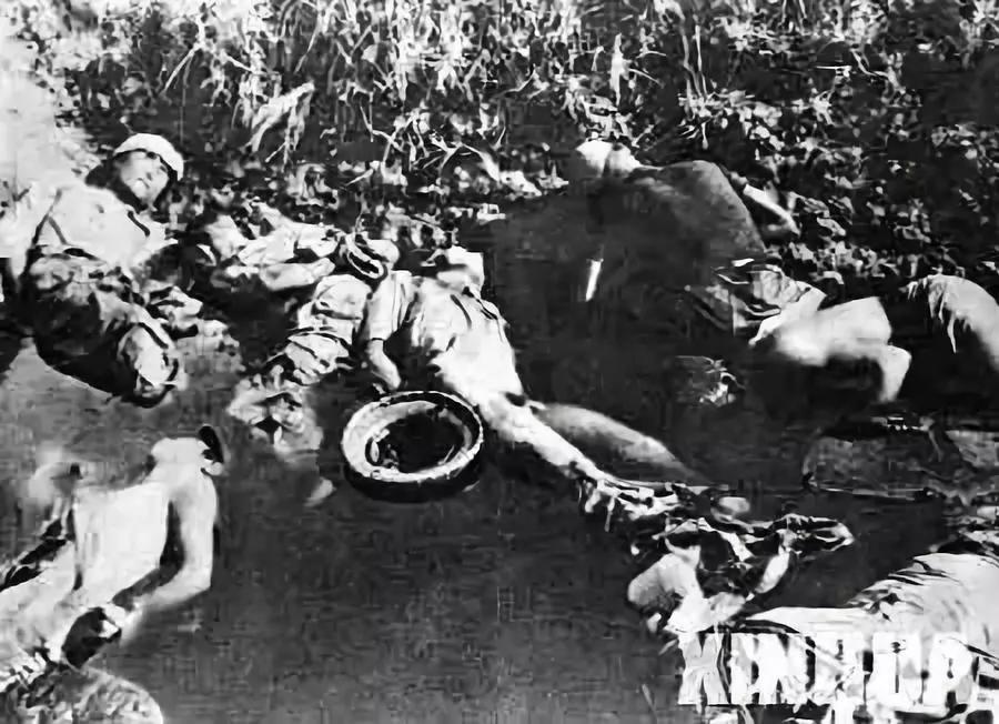 自媒体热点>正文>中华民族经历了最危险的时刻平津危急,华北危急发动