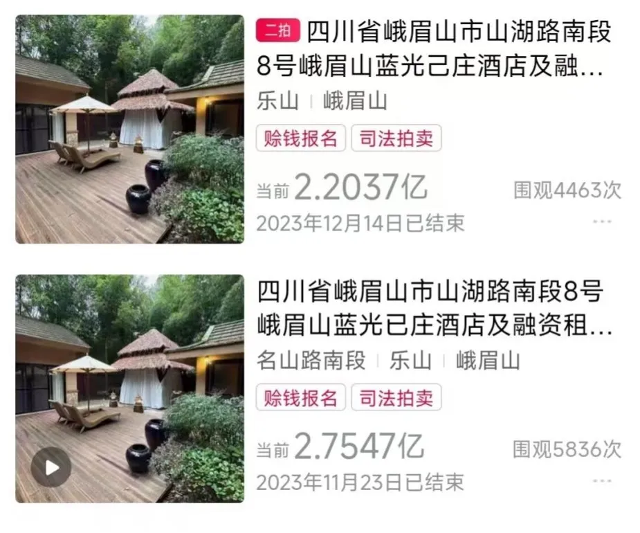 彼时，己庄遭遇两次线上拍卖均流拍。图片来源：阿里拍卖