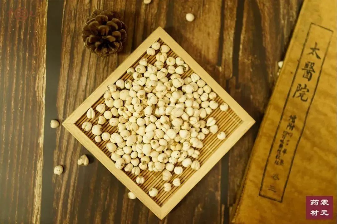 震元良药 | 精制饮片②川贝母