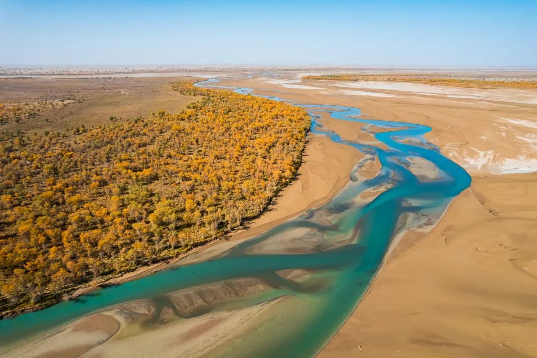 维吾尔族,是新疆塔里木盆地最早居民吗?