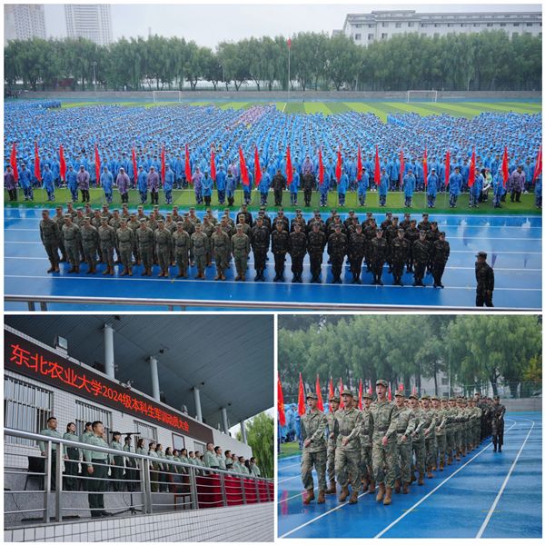 队列训练,战术训练,轻武器射击……东农2024级新生|生