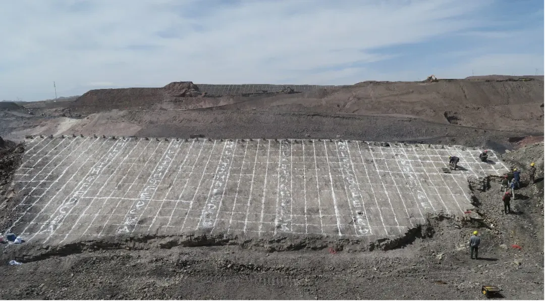 ▲2017年野外样方照片