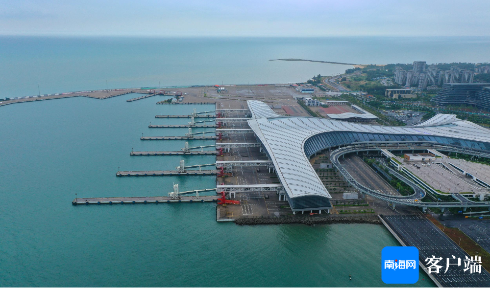 直击新海港多种措施抗击台风→|台风_新浪财经_新浪网