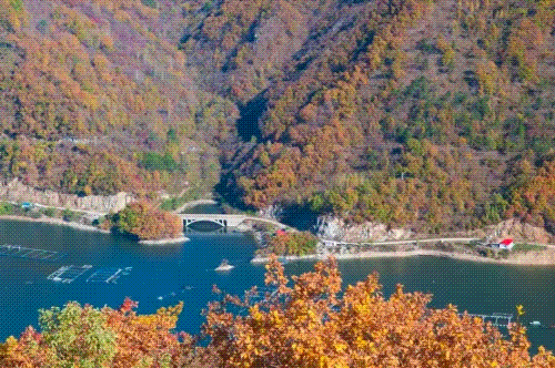 领略秋之多彩吉林|吉线G331,藏着最精致的秋天|吉林省_新浪新闻