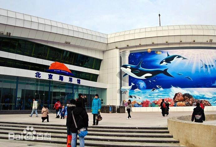 北京海洋馆白鲸长时间凄厉尖叫,饲养员回应