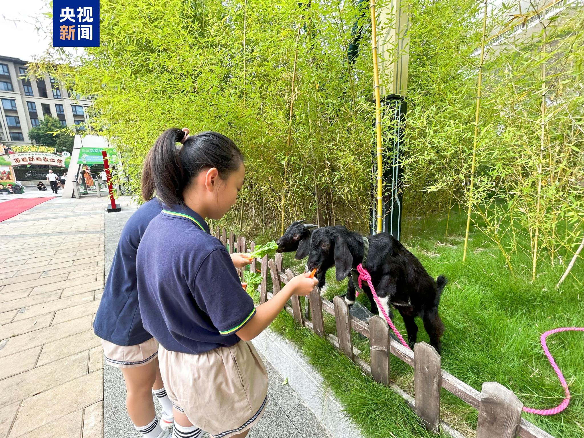 最萌开学日"带着动物去上学"