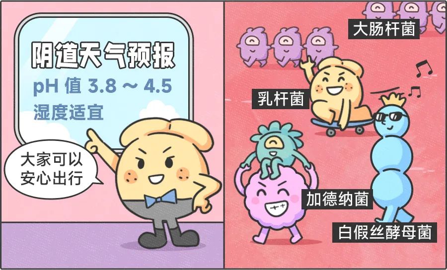 图片来源：丁香设计团队