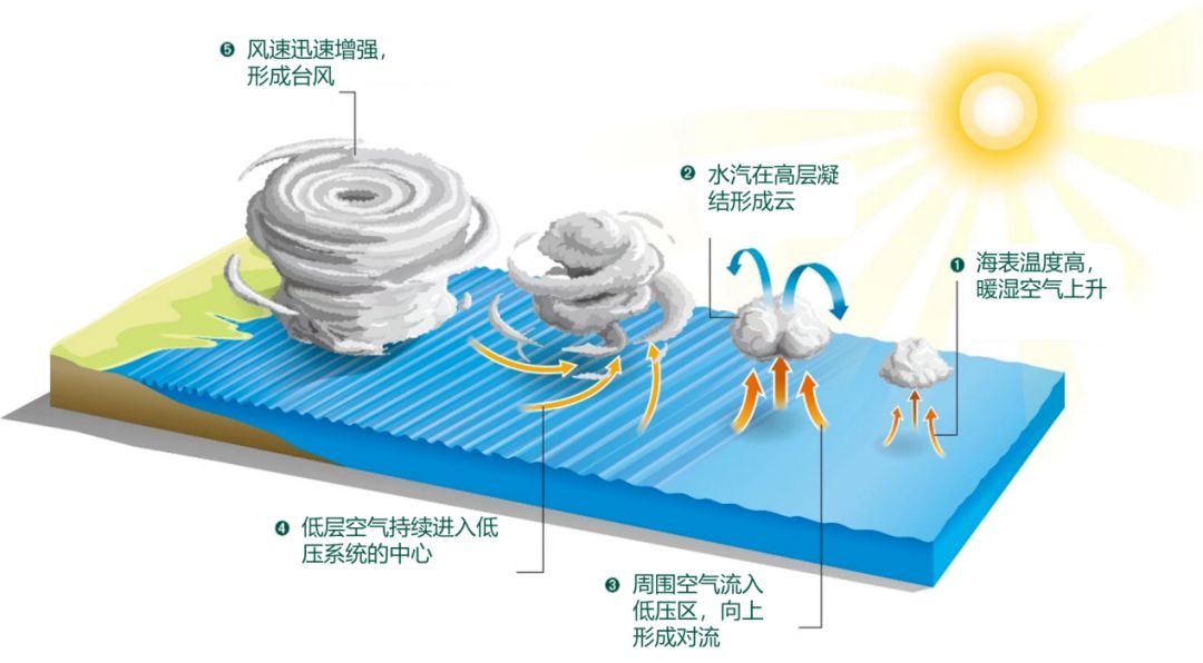台风生成过程示意图。