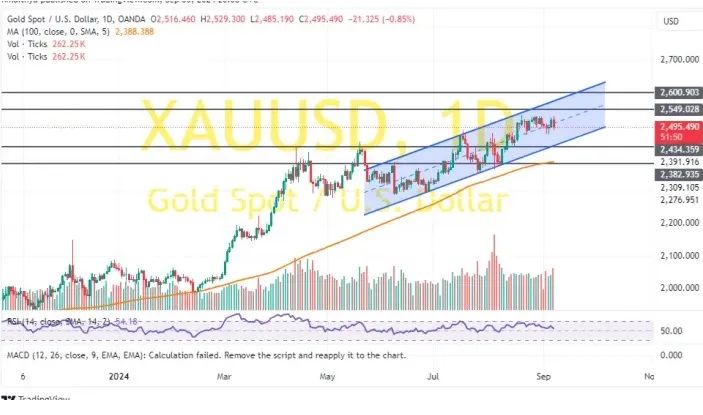 (现货黄金日线图 开端:FXDailyReport)