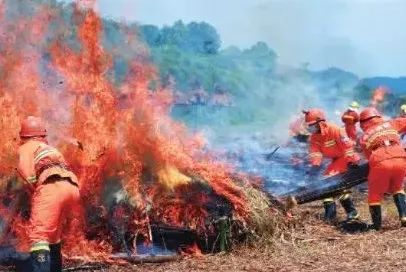 图③：“红岩民兵连”组织森林灭火课目训练。高效文摄