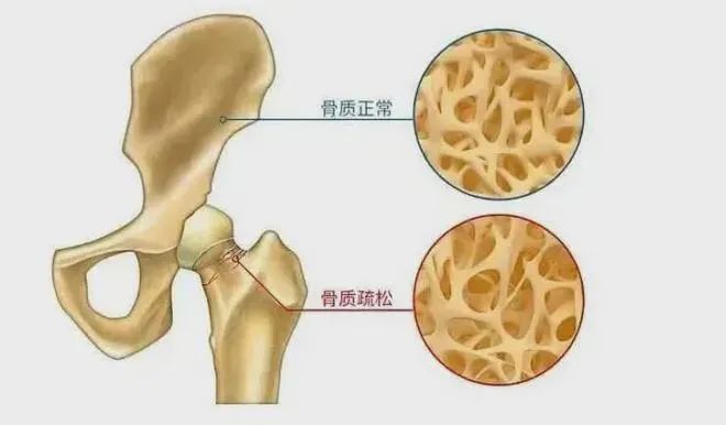 （图片来源网络，侵权删）