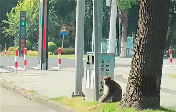 【本文结束】如需转载请务必注明出处：快科技责任编辑：振亭文章内容举报