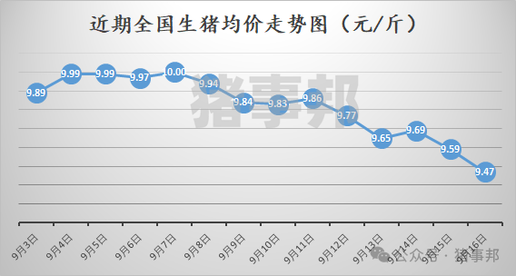 猪事邦||9月16日猪价汇总（猪价以跌为主！）
