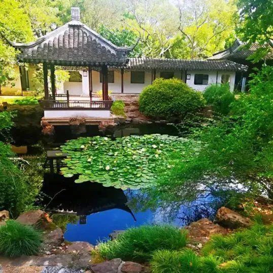 2025济南园林花市“云辰水欧博体育平台禾”杯兰花雅集在济南泉城公园盛大启幕