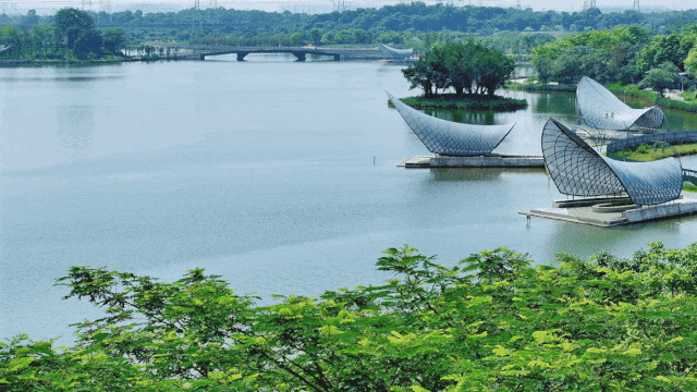| 博爱湖实景 图源佛山楼市发布 |