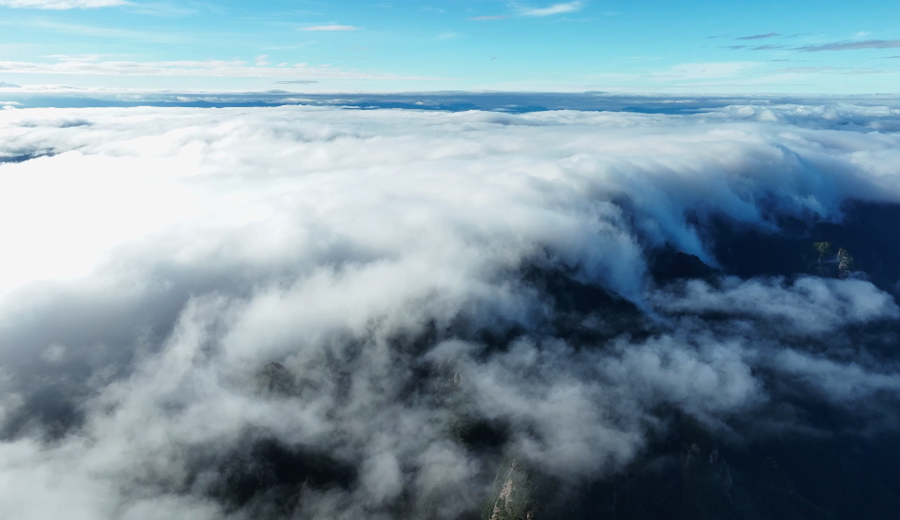 安徽九华山:云海翻涌 壮美如画_新浪财经_新浪网