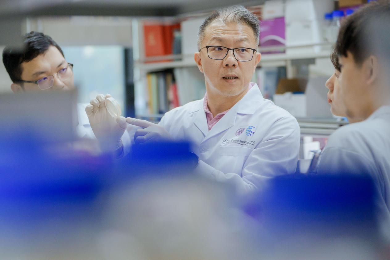 免疫记忆——清华大学医学院终身教授祁海团队背后的故事|新冠肺炎_新浪财经_新浪网