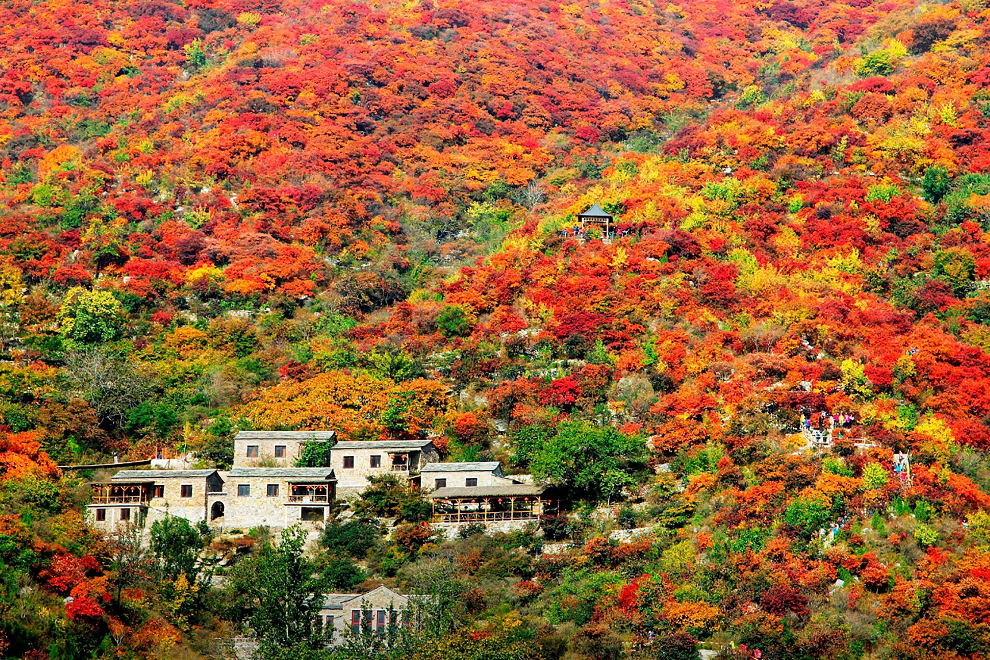 房山坡峰岭景区图片